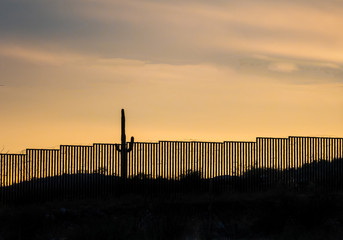 Section of US border wall with Mexico in southern Arizona with iconic saguaro cactus 