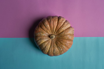 Orange Decorative Pumpkin On A Double horizontal pink and blue Paper Background With Reflection Of Shadows And A Copy Of Prostration. Top View