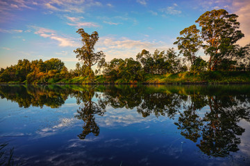 Obraz premium tree reflection in lake