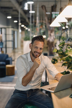 Portrait of smiling mature businessman using laptop in modern office lounge