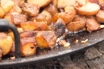 meat on the grill