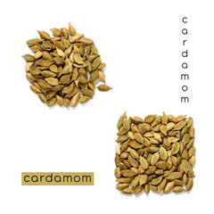 Cardamom seeds in the form of a square and a circle isolated on a white background.