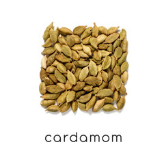 Cardamom seeds in the form of a square isolated on a white background.