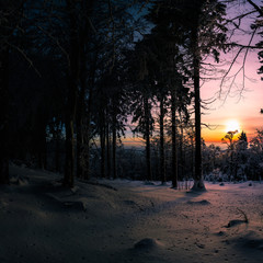 Stimmungsvoller Sonnenuntergang im Wald