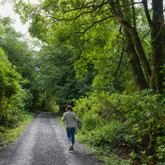 Woman walking on road amidst forest, Grange, County Sligo, Ireland - 310049598