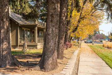 Fall leaves fall on the floor next to the Sisters Dental business on East Cascade Street in Sisters, Oregon, USA.