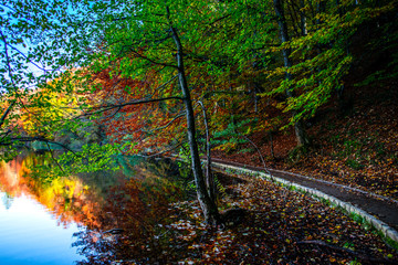 Autumn landscape in the park