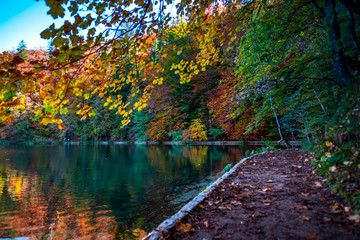 Autumn landscape near the lake