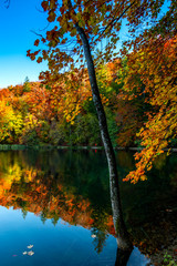 Fototapeta na wymiar Autumn landscape in Plitvice Park, Croatia