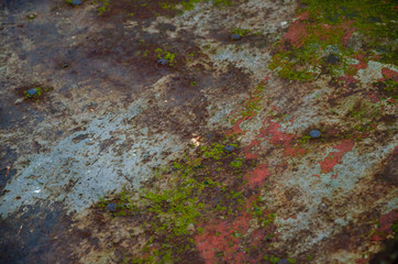 brown background. old rusty painted surface. The texture of the metal. Blank sheet for design.