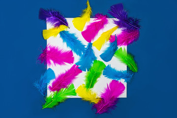 Obraz na płótnie Canvas Colorful pattern made of feathers white sheet of paper on classic blue color background.