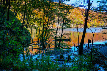 Fototapeta na wymiar Autumn landscape in Plitvice Park, Croatia