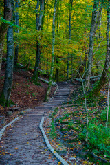 Fototapeta premium Autumn landscape in Plitvice Park, Croatia