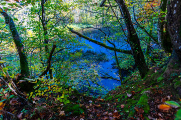 Autumn landscape in Plitvice Park, Croatia