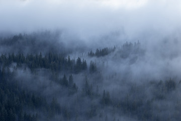 A moody, cloudy mountain forest