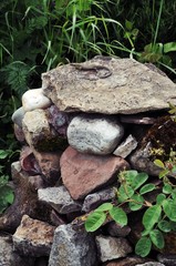 Steinhaufen aus Lesesteinen mit Eidechse im Garten