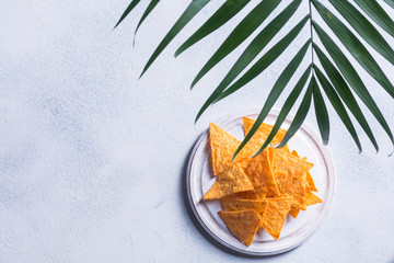 Traditional mexican snack nachos and palm branch on a white background