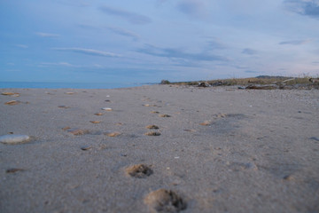 footprints on the beach