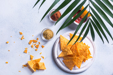 Traditional mexican snack nachos with sauce, spices and palm branch on a white background