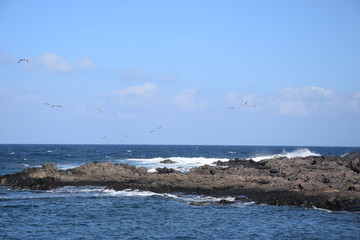 Lanzarote