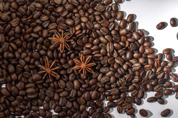 coffee beans. roasted coffee. cinnamon and anise on a light background.