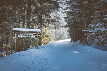 Willkommen im Nationalpark Bayerischer Wald