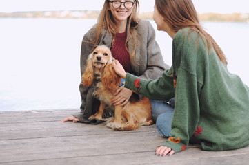 Two girls and english cocker spaniel dog lying on wooden bridge.Portrait of dog outside (outdoors)....