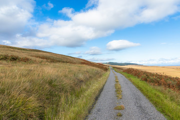Fototapeta na wymiar Jura Isle Landscape in Scotland