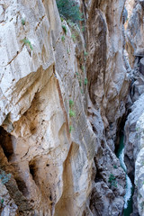 Caminito del Rey