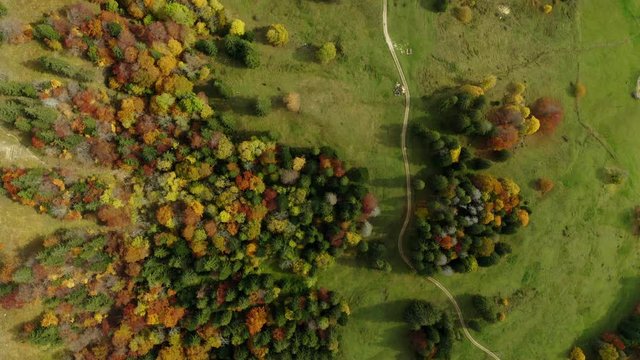 Top down aerial view of autumn colored trees on green grass at Grenchenberg in Switzerland, slowly flying forward