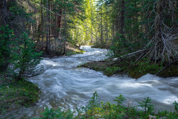 Obraz premium Rushing Rapids