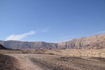 road in desert