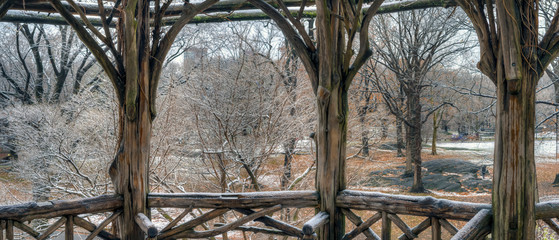 Central Park in winter