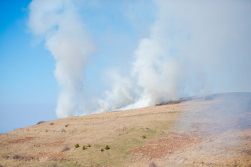 Springtime landscape