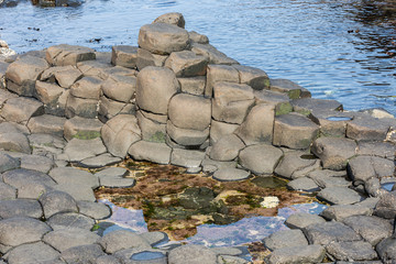 Rock pool at the Giants Causeway Northern Ireland