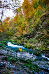 Autumn landscape in the Vintgar cannyon, Slovenia