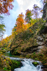 Fototapeta na wymiar Autumn landscape in the Vintgar cannyon, Slovenia