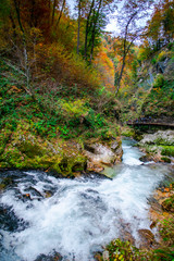 Autumn landscape in the Vintgar cannyon, Slovenia