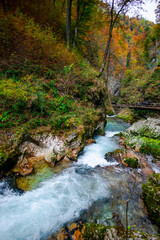 Autumn landscape in the Vintgar cannyon, Slovenia