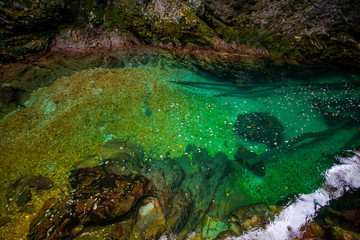 Autumn landscape in the Vintgar cannyon, Slovenia