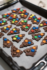 Homemade christmas cookies. Christmas homemade gingerbread cookies in form of Christmas tree.