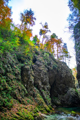 Autumn landscape in the Vintgar cannyon, Slovenia