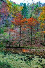 Autumn landscape in the Vintgar cannyon, Slovenia