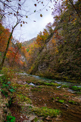 Autumn landscape in the Vintgar cannyon, Slovenia