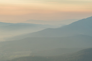Layercake im Bayerwald