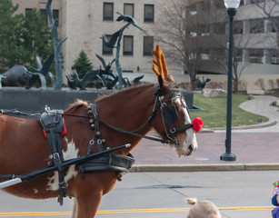 Obraz premium Omaha Holiday Horse 3