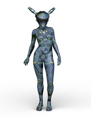 サイバーウーマン　