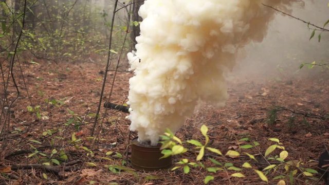 Professional smoke bomb smokes heavily in the woods. The theme of war and armament is used in the open air. Pyrotechnic smokescreen to disorient the enemy, works in the forest on the ground.