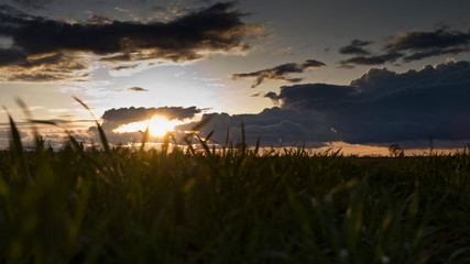 Fototapeta premium Sonnenuntergang
