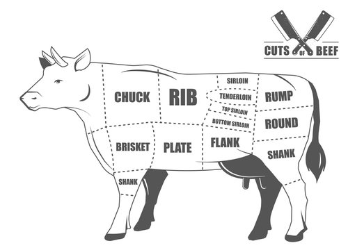 Cuts of beef. Poster Butcher diagram - Cow. Vintage typographic hand-drawn. Vector illustration. Black and white hand drawn image.